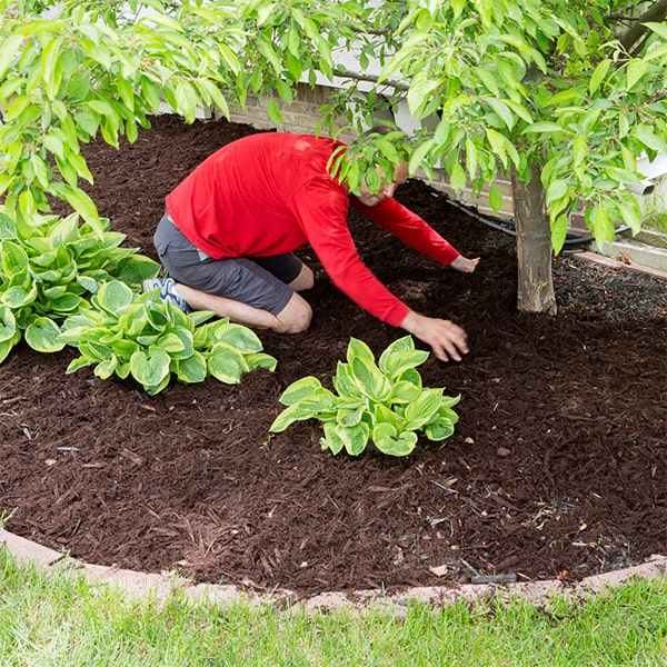 we are able to accommodate mulch installation for properties of all sizes, including large commercial areas